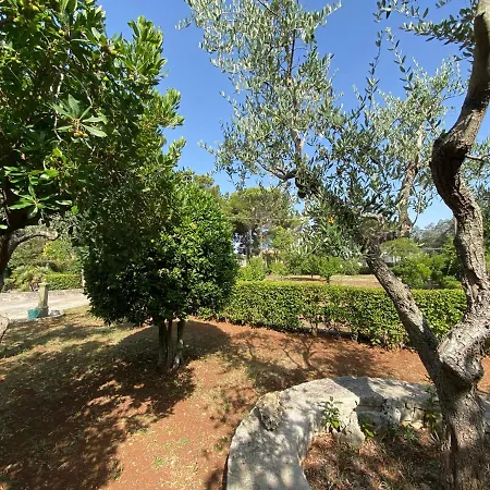 Ombrosa - Pleasant House In Valle D'itria Apartment Martina Franca